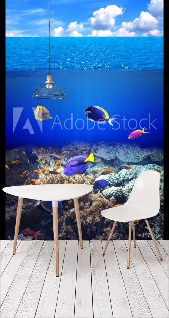 Picture of Underwater scene with tropical fish